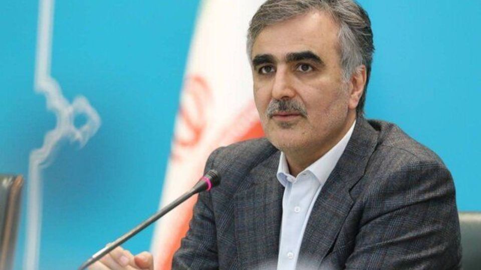 فرزین: ایران عضو و سهامدار بانک بریکس می‌شود