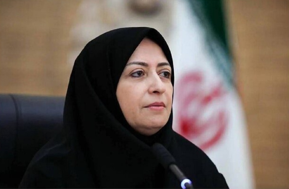 شینا انصاری، رییس سازمان حفاظت محیط زیست