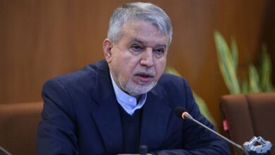 وزیر میراث فرهنگی، حریم صندل و شهر دقیانوس جیرفت، ممنوعیت ساخت مسکن مهر در جیرفت، جیرفت کانون تمدنی شرق ایران، صندل جیرفت، شهر دقیانوس، حفظ محوطه های تاریخی